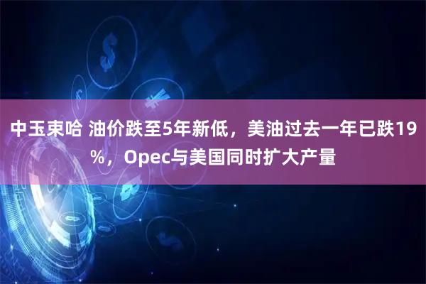 中玉束哈 油价跌至5年新低，美油过去一年已跌19%，Opec与美国同时扩大产量