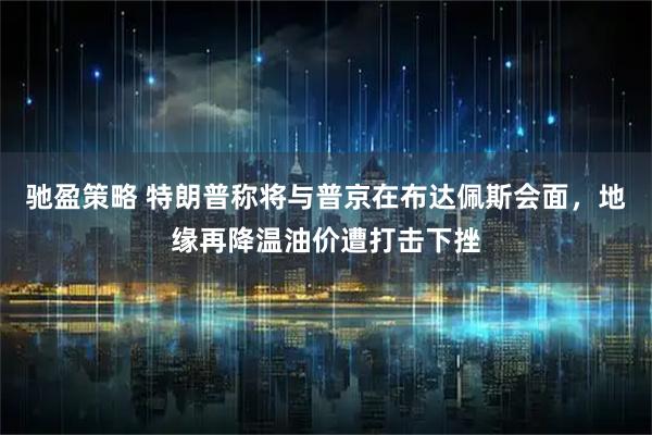 驰盈策略 特朗普称将与普京在布达佩斯会面，地缘再降温油价遭打击下挫
