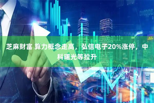 芝麻财富 算力概念走高，弘信电子20%涨停，中科曙光等拉升
